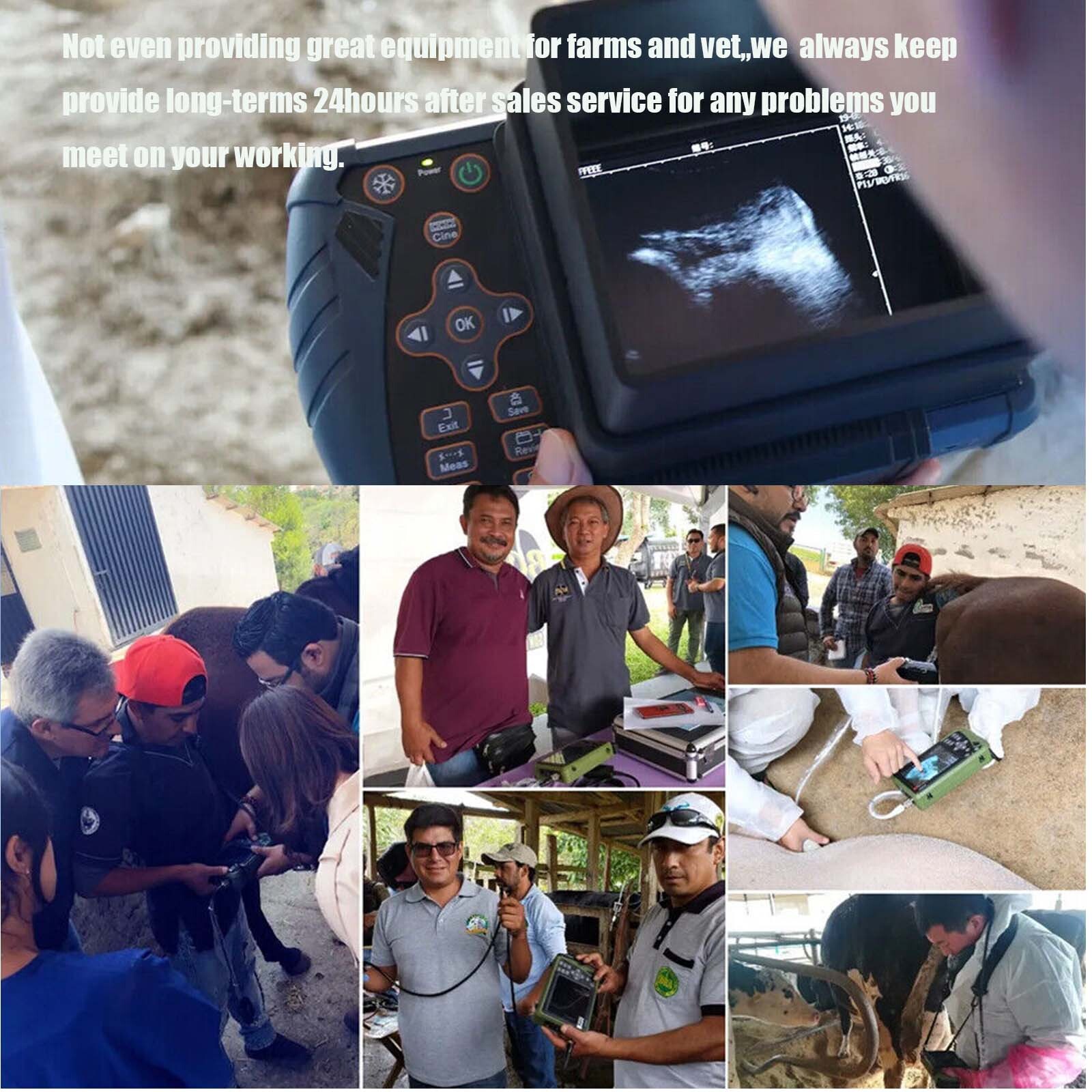 Dawei Portable Pet Ultrasound Handheld Veterinary Machine For Goat Cattle Horse