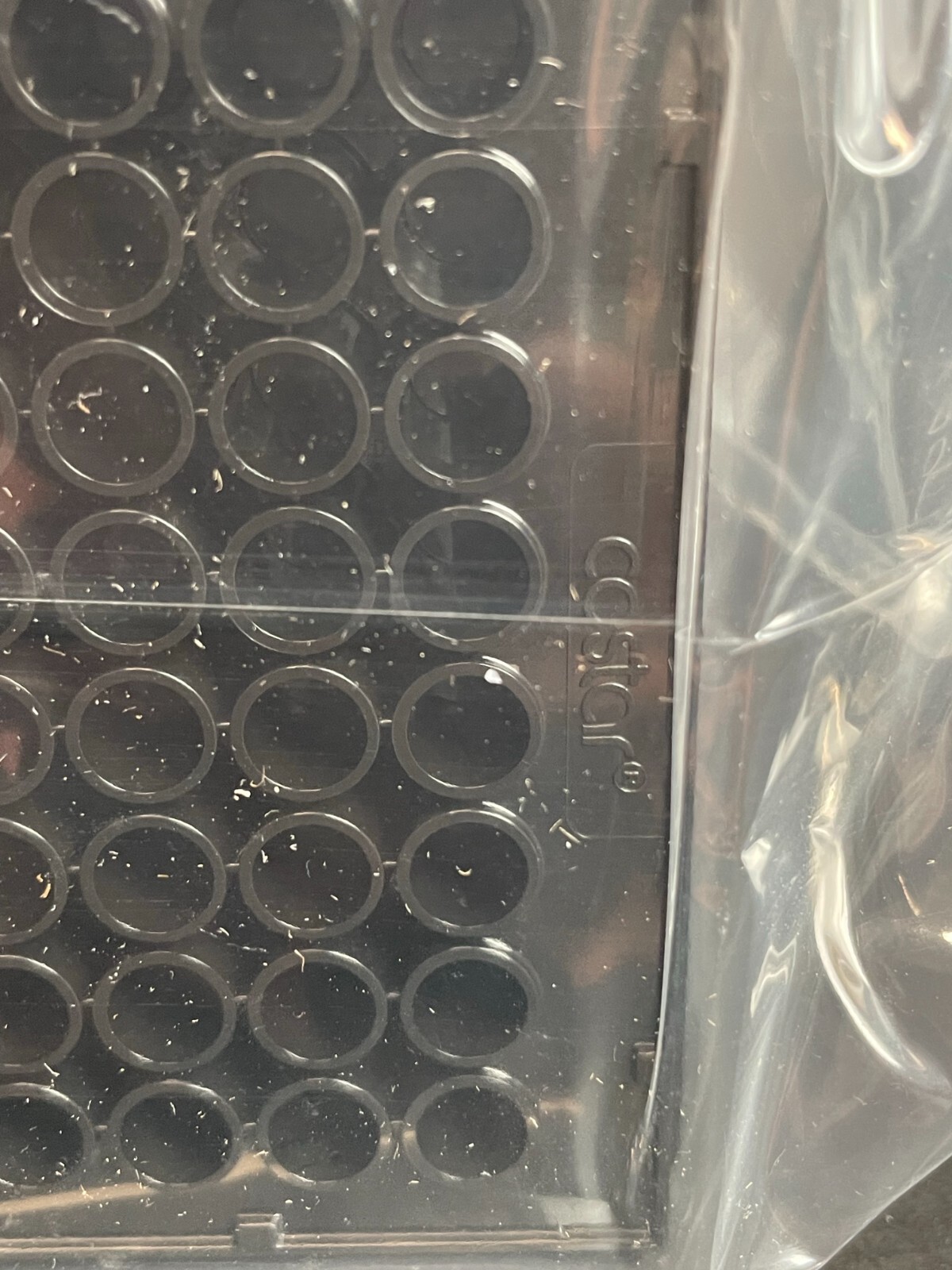 Corning Microplate 96 Well Black Sealed Polystyrene Total of 50 Plates