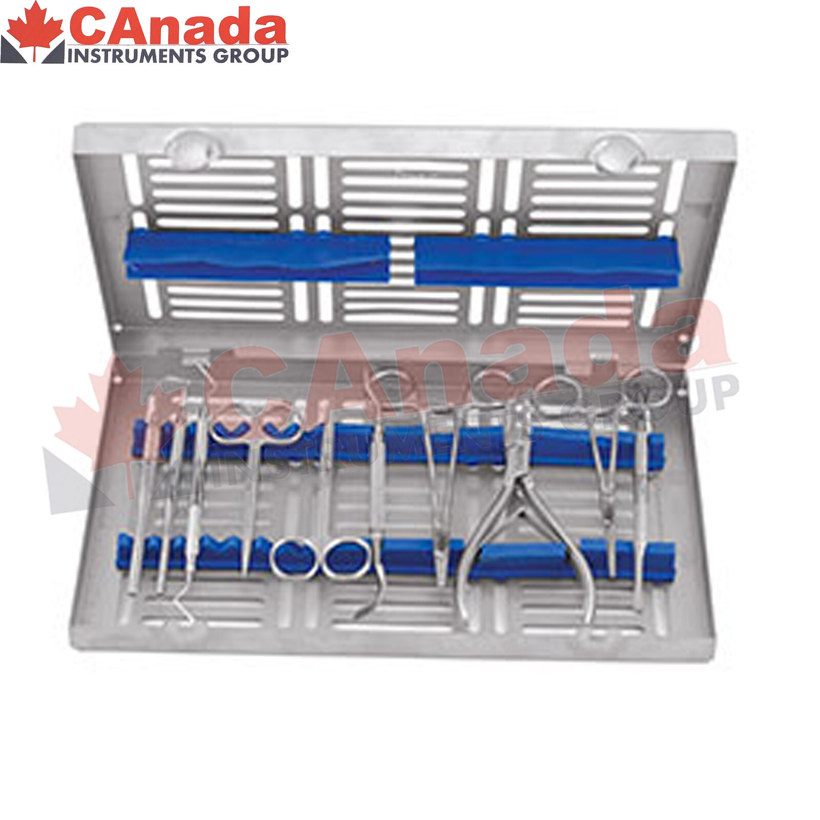 Surgical Instruments Set of 10 with Cassette Surgical Dental Instruments