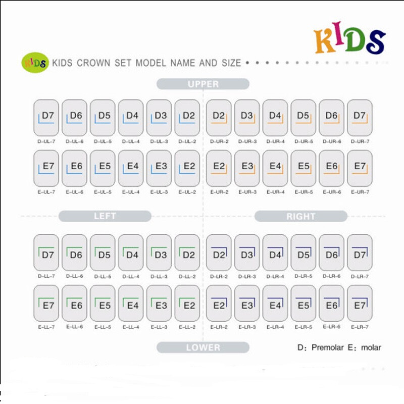 Dental Molar Crown teeth Kit Preformed Stainless Steel Kids/Adult Crowns 48/96Pc
