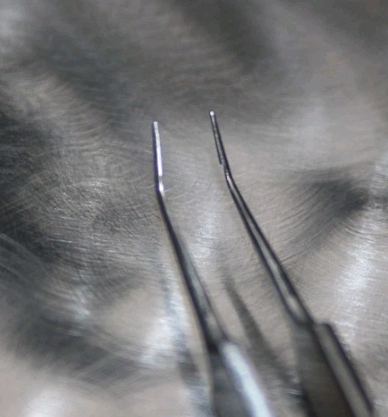 Storz E1815A McPherson Angled 4.0mm Tying Forceps 8.2cm Overall Length