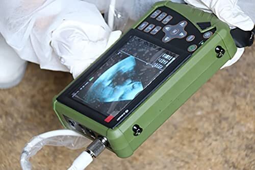 Dawei Portable Pet Ultrasound Handheld Veterinary Machine For Goat Cattle Horse
