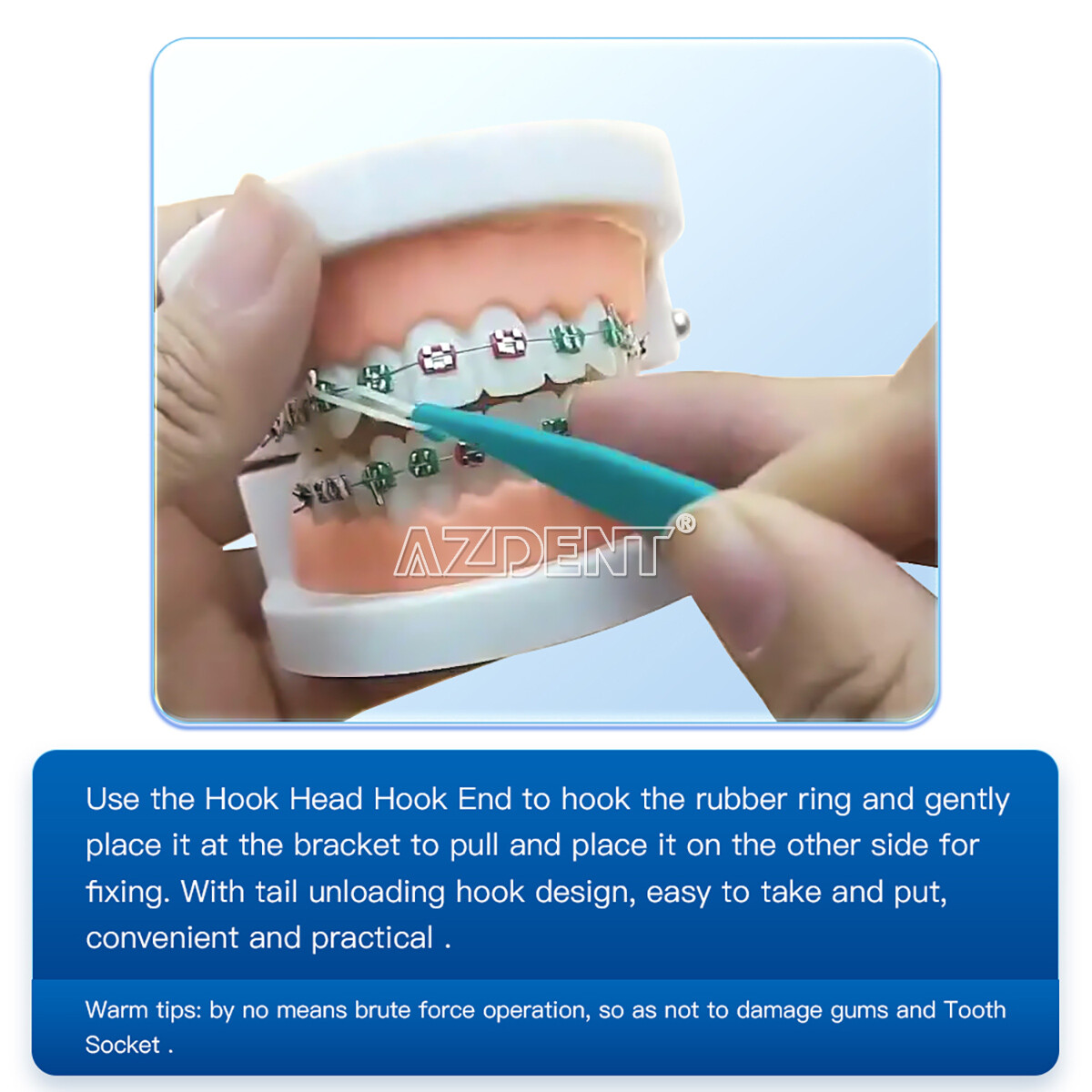 5000unid Bandas elásticas ortodoncia dental goma de látex 3.5 OZ/Ganchos Placers