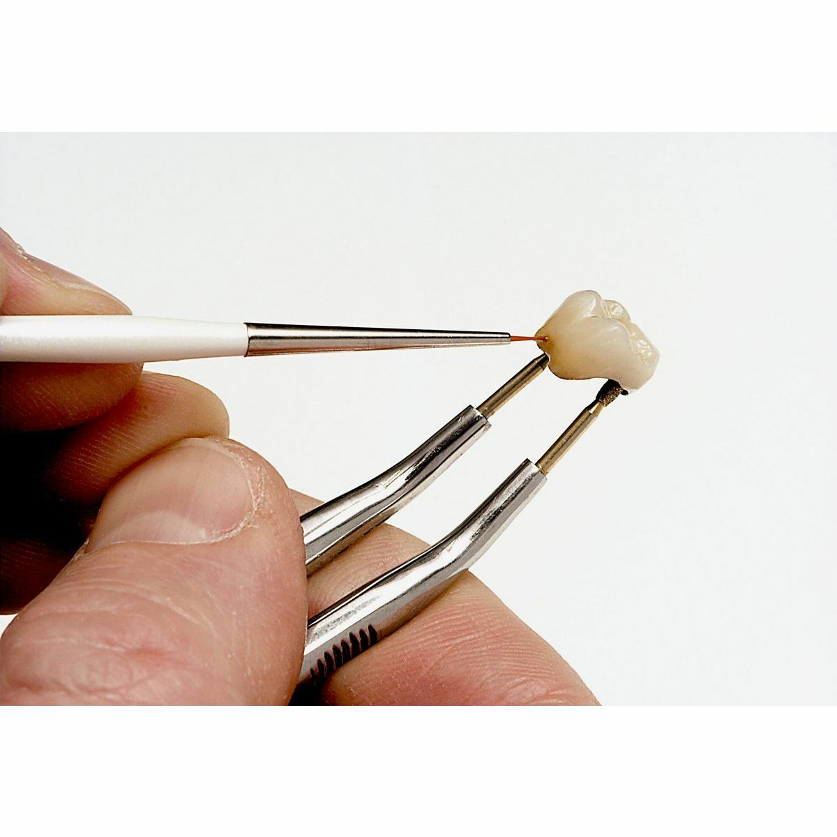 Set Renfert Dental ceramic brush premium Synthetic hair №0-8 Takanishi 17140000