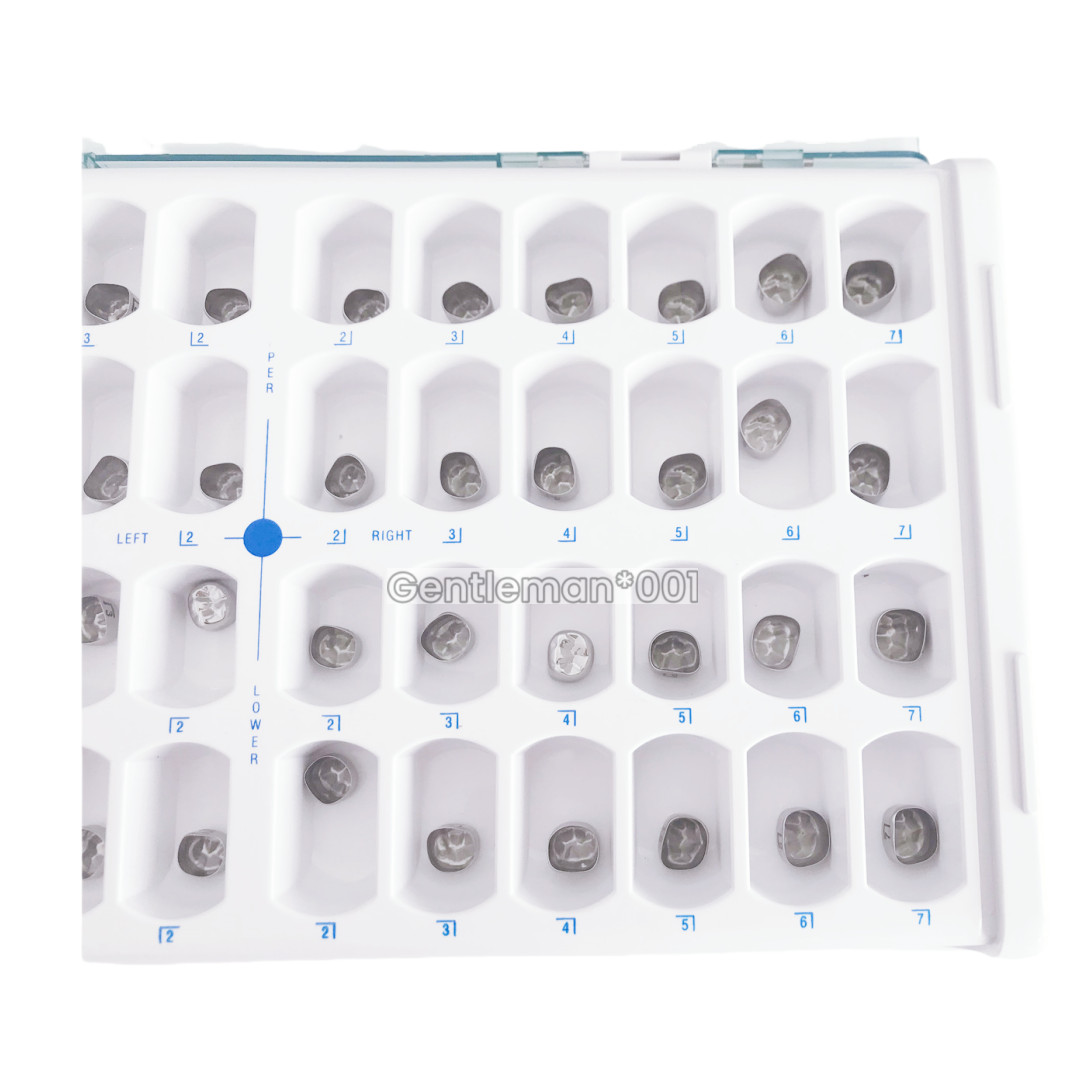 24Sizes Dental Primary Molar Teeth Crown Stainless Steel For Adult Temporary