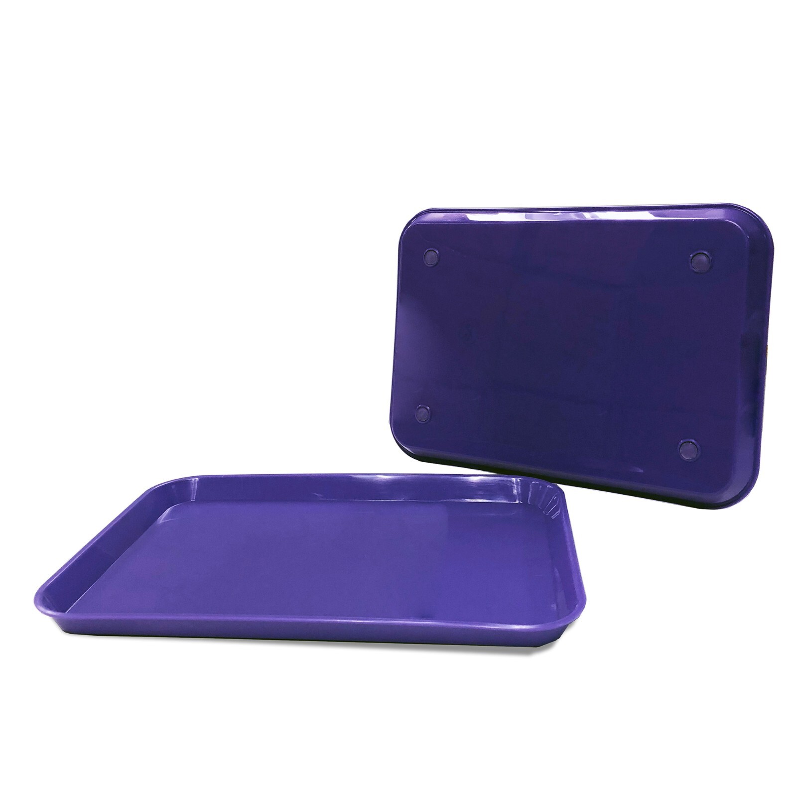 Purple Dental Plastic Instrument Tray, Size B Autoclavable 13.25″ x 9.75″