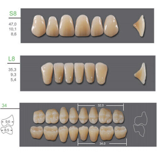 Huge Kaili Synthetic Polymer False Teeth Shade C1 Full Set: 28 teeth/set 4 sets