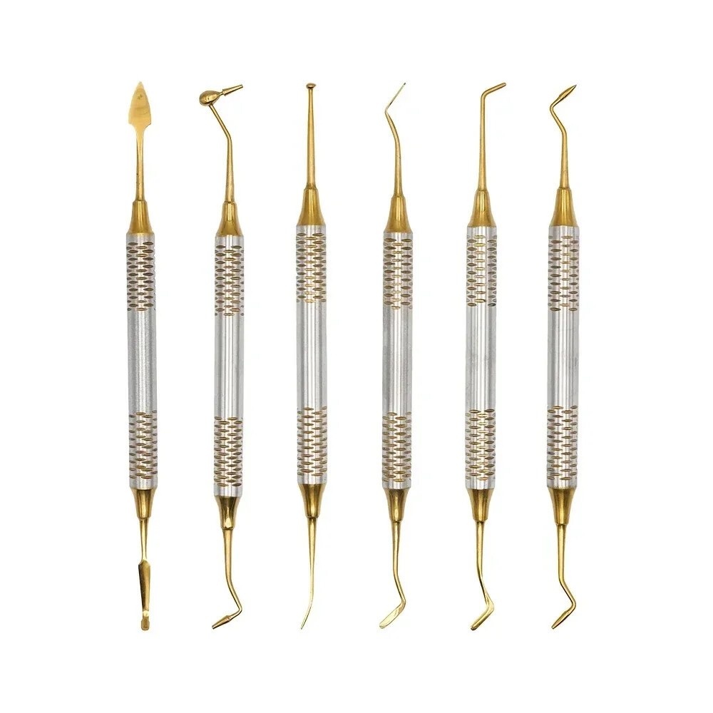 6pcs/Set Dental Composite Filling Instruments Spatula & Plugger Titanium Tips