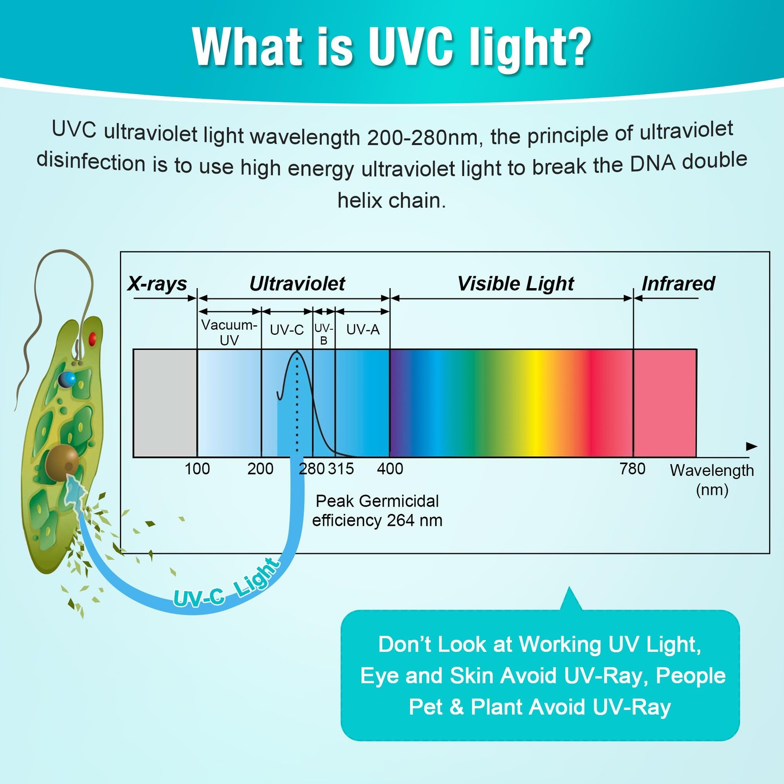 Qualirey 1 Pack UV Lamp Ozone Free, 253.7nm Wavelength UVC Germicidal 6 Watts