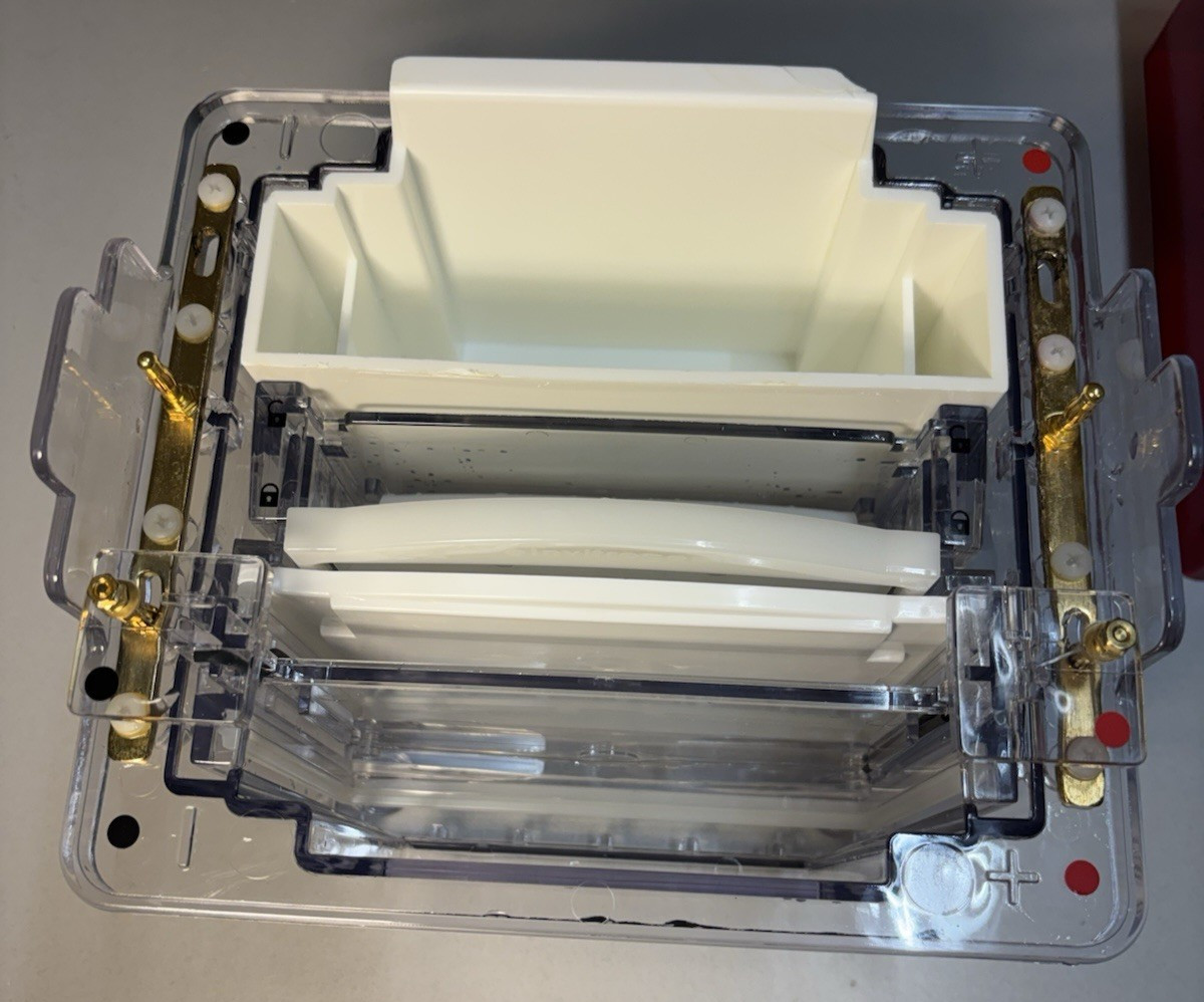 INVITROGEN XCell 4 SureLock Midi-Cell Electrophoresis Runner 200W 600VDC WR0100