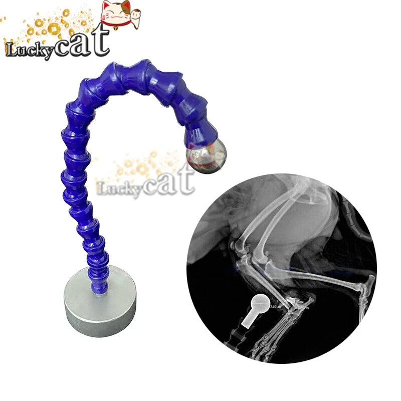 X-Ray Reference Ball Radiographic Veterinary Orthopedic Instrument 25mm