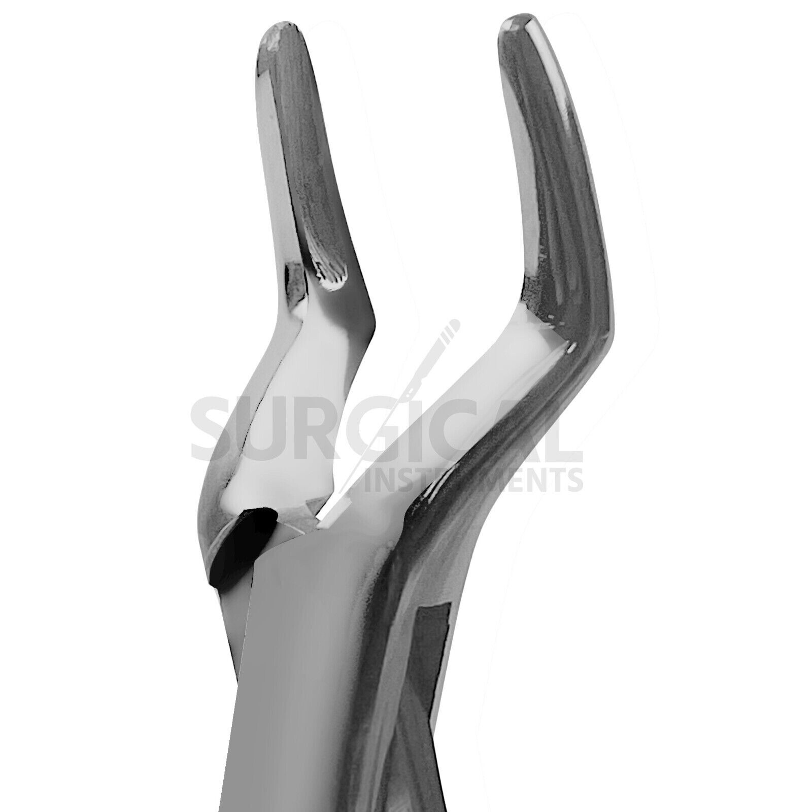 Extracting Forceps Dental Surgical Instruments 65 Stainless German Grade