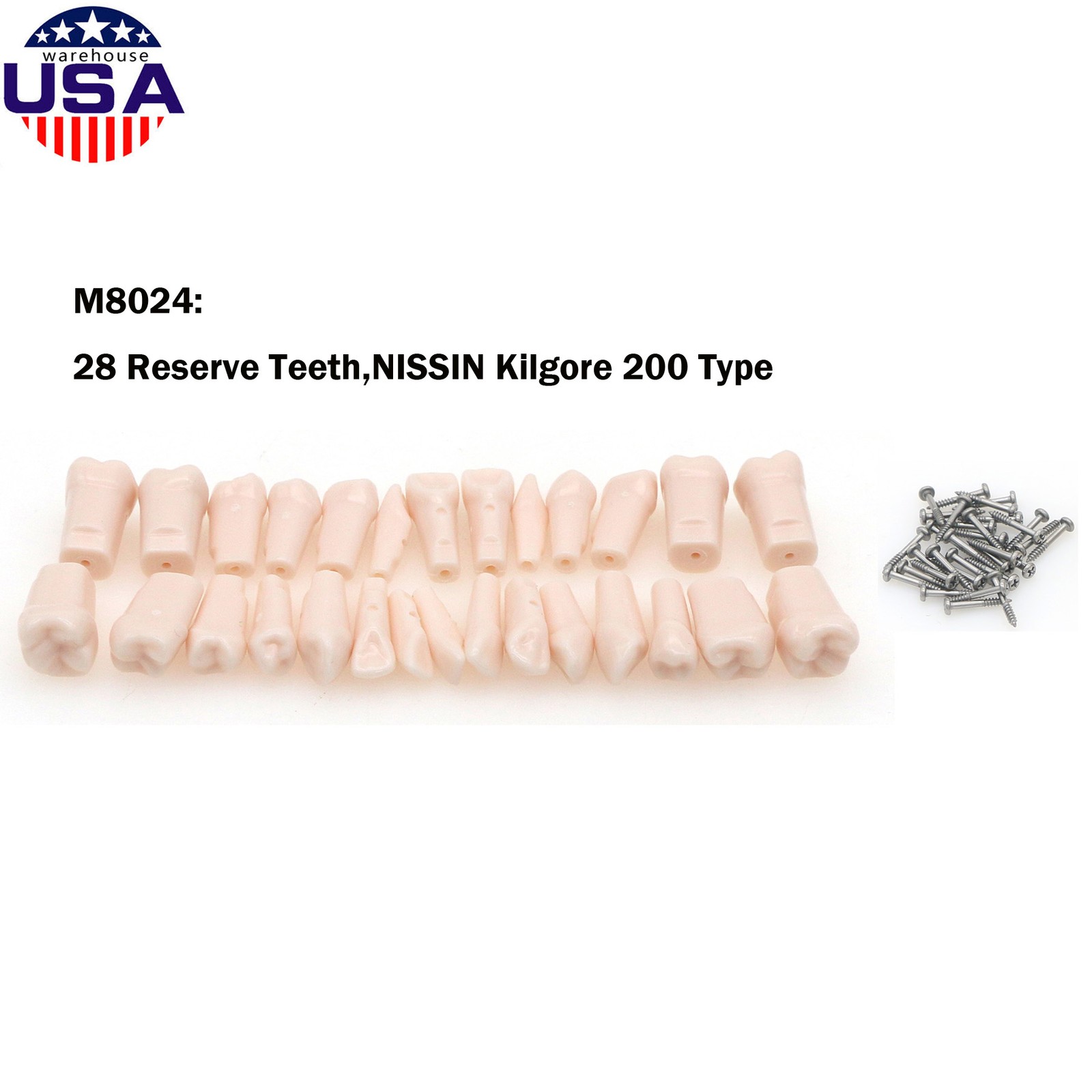 US Dental Overdenture/Implant/Orthodontic Typodont Ortho Training Teaching Model