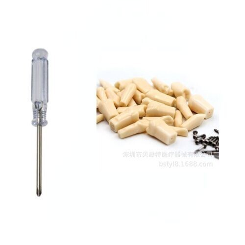 Dental Practice Typodont Teeth Model Removable Teeth 28 pcs Kilgore Nissin