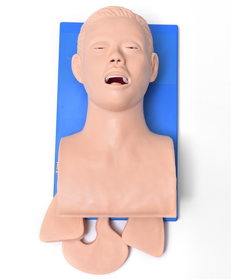 Used Tracheal Intubation Training Teaching Model with Indicator 110V-220V