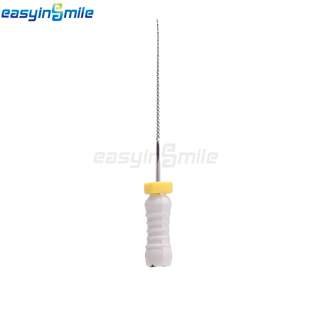 10pks Dental Endo K Files Stainless Steel Root Canal Hand Files 25MM EASYINSMILE