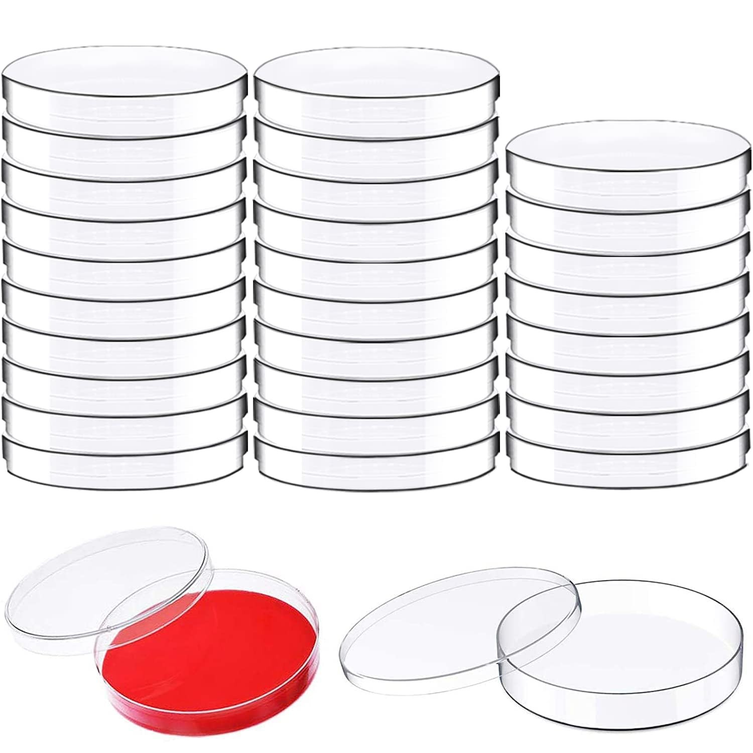 30 Pack Plastic Petri Dishes with Lids,90 x 15mm Bioresearch 30pcs 90MM