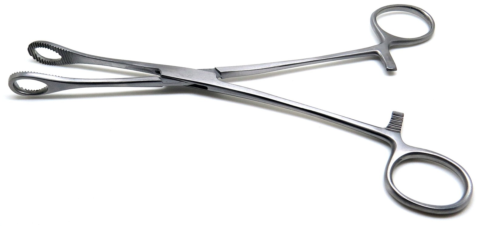 9.5 Inch Foerster Sponge Forcep Straight Serrated Surgical Veterinary Tool