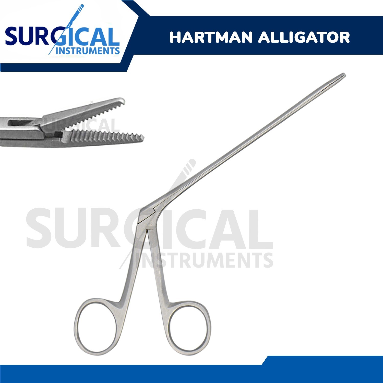 Alligator Forceps Surgical & Veterinary Instruments 6.5″ Stainless German Grade