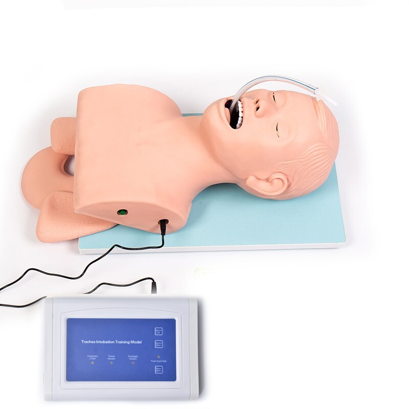 Used Tracheal Intubation Training Teaching Model with Indicator 110V-220V