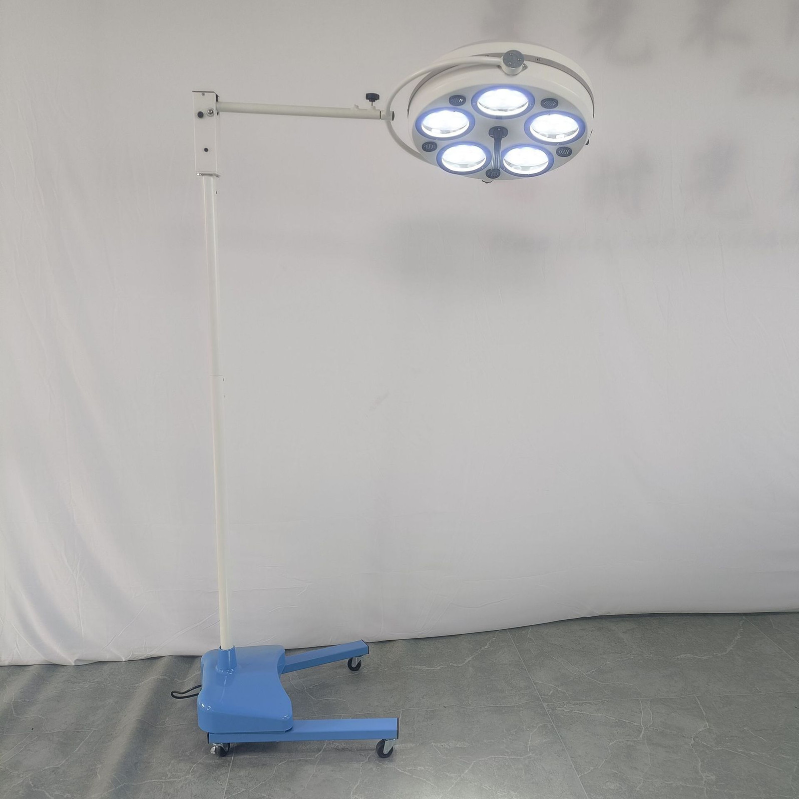 Oral Lighting 30w LED Surgical Medical Exam Light Shadowless Lamp Pet Hospital
