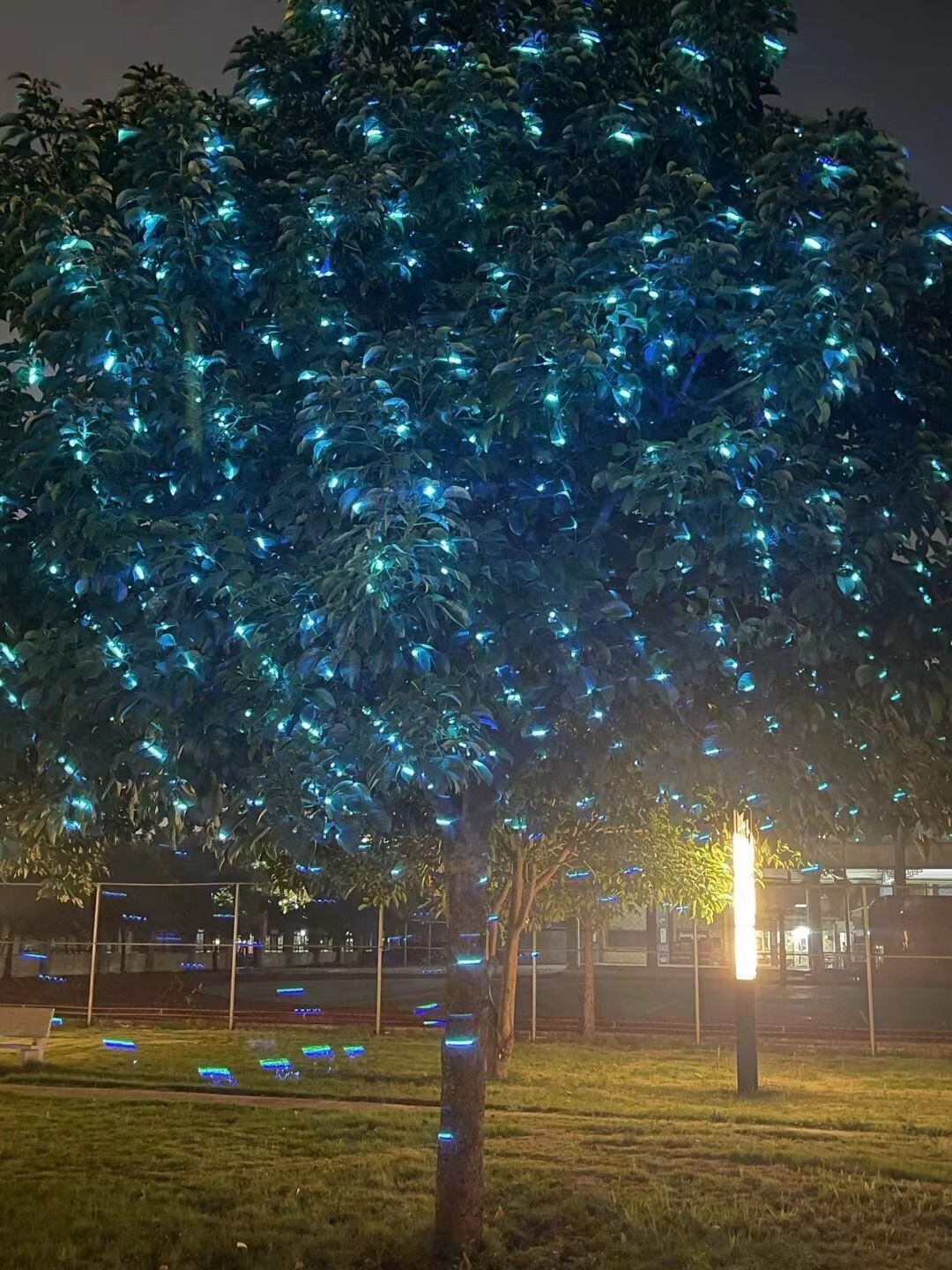 RGB 3W Starlight Laser Full Color Laser Lights Outdoor Landscape + Control Board