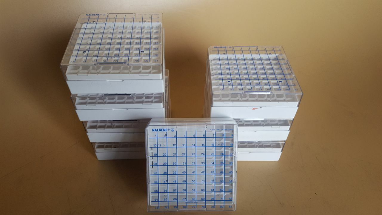USED (8) Nalgene Cryogenic Containers, 5-1/4 x 5-1/4 x 2 inches, holds 81 tubes