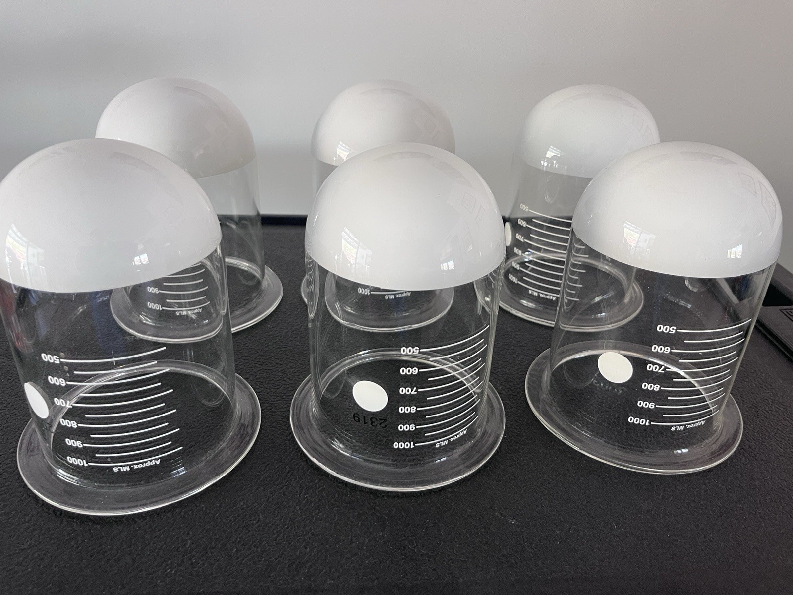 Varian 12-5000 style 1000 mL Disso Vessels w/teflon bottom, Set of 6