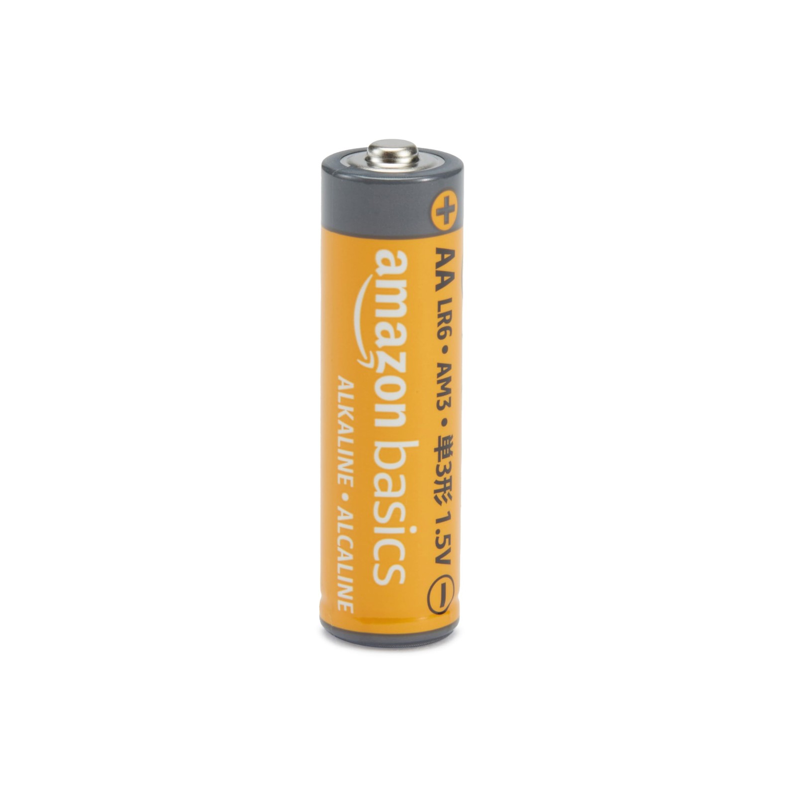 Retailer Basics 20-Pack Aa Alkaline High-Performance Batteries 1.5 Volt 10-Year