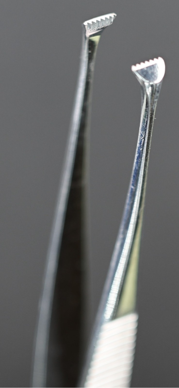 Storz E1562 Graefe Fixation Forceps, Wide 4.5mm 6×6 Teeth Jaws, 108mm (4.3″)