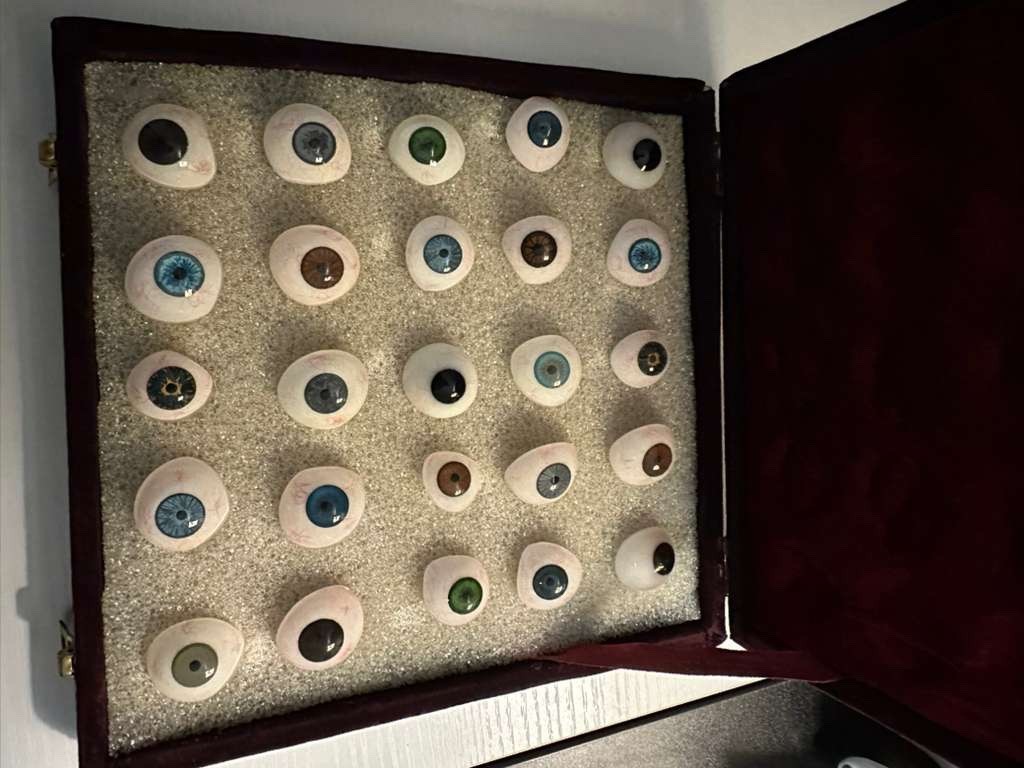Prosthetic Eye For Human 25 Eyes ALL MIX SHADE In Soft Case Liberty Prosthesis