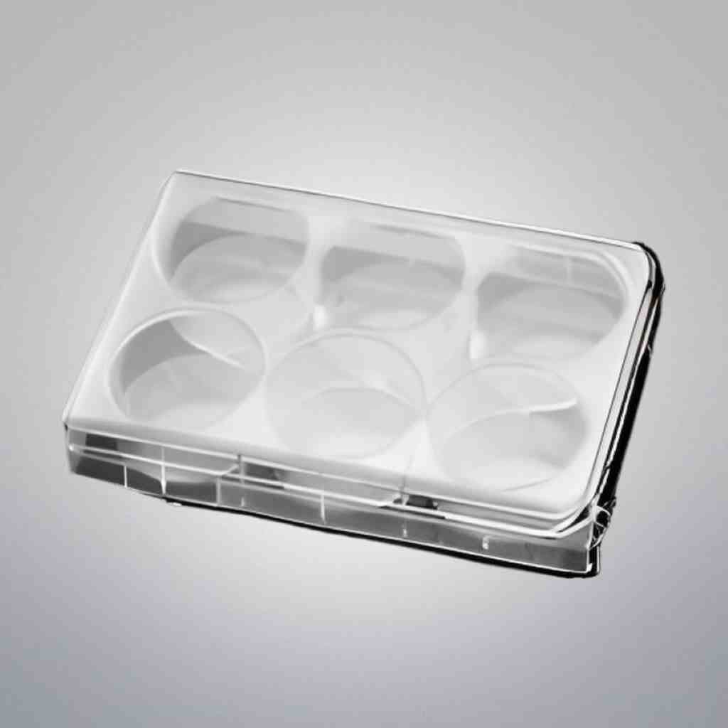 Thermo Scientific Microplate 6 Well 3 ml Total of 75 Plates