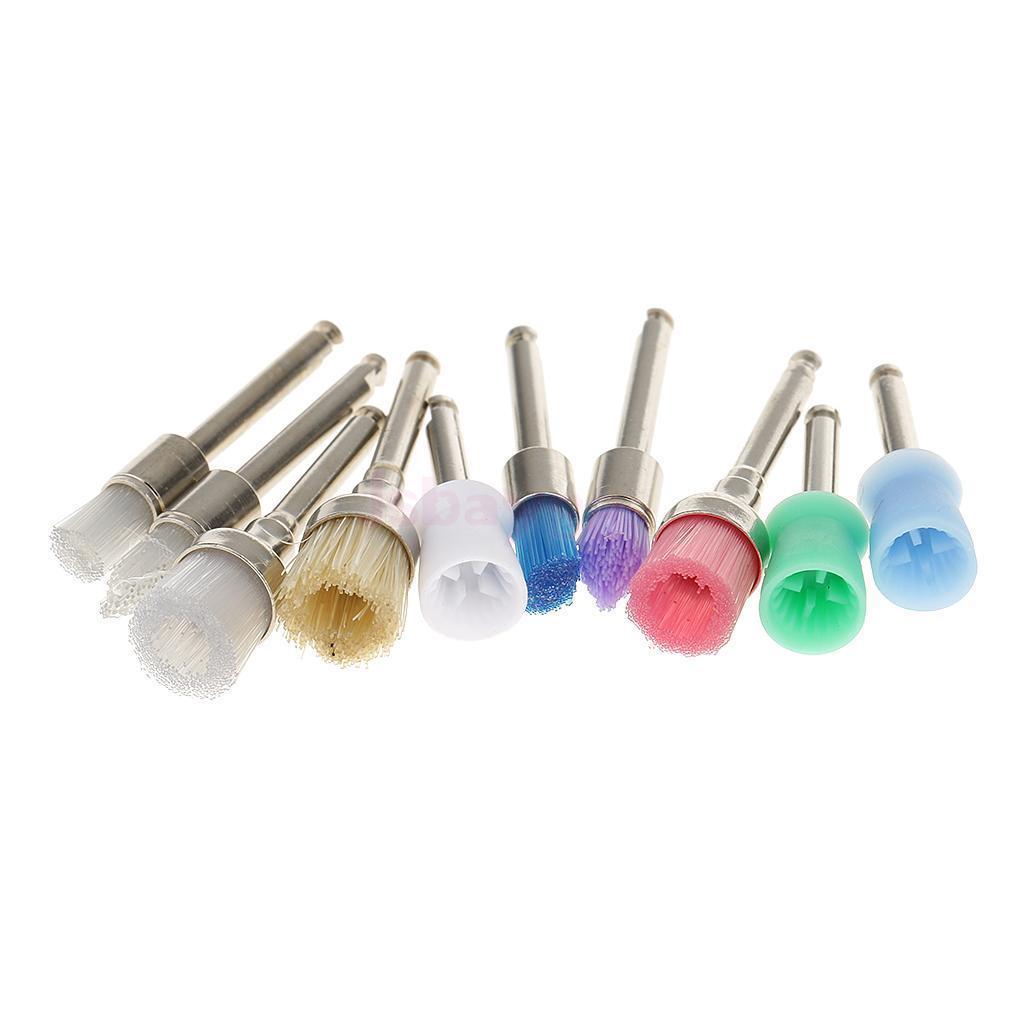 10 Mixed Types Disposable 100 Pcs Dental Prophy Brush Cup Polishing Polisher