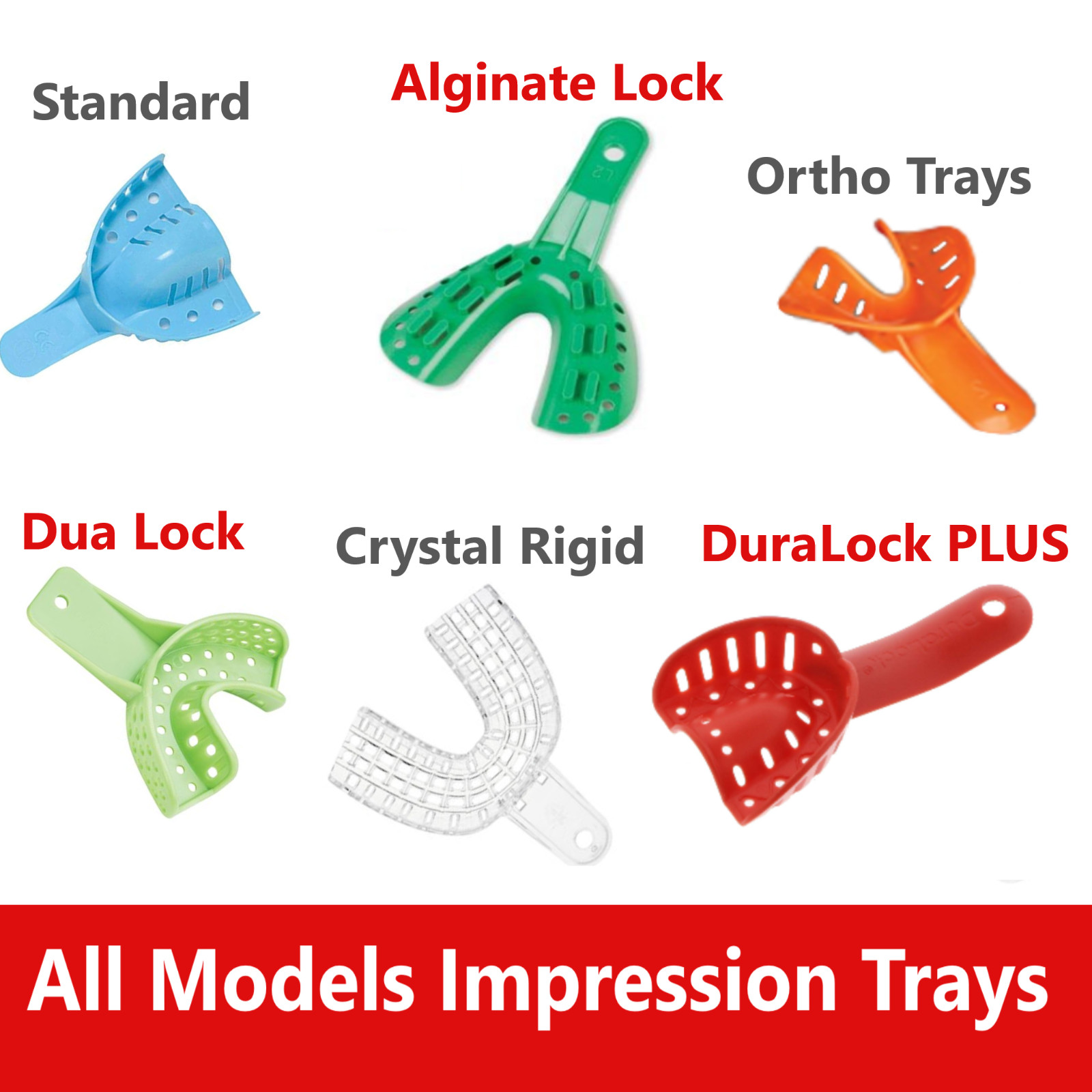 Dental Impression Trays ALL MODELS Assorted Bag 10 Trays (1 Tray of Each Size)