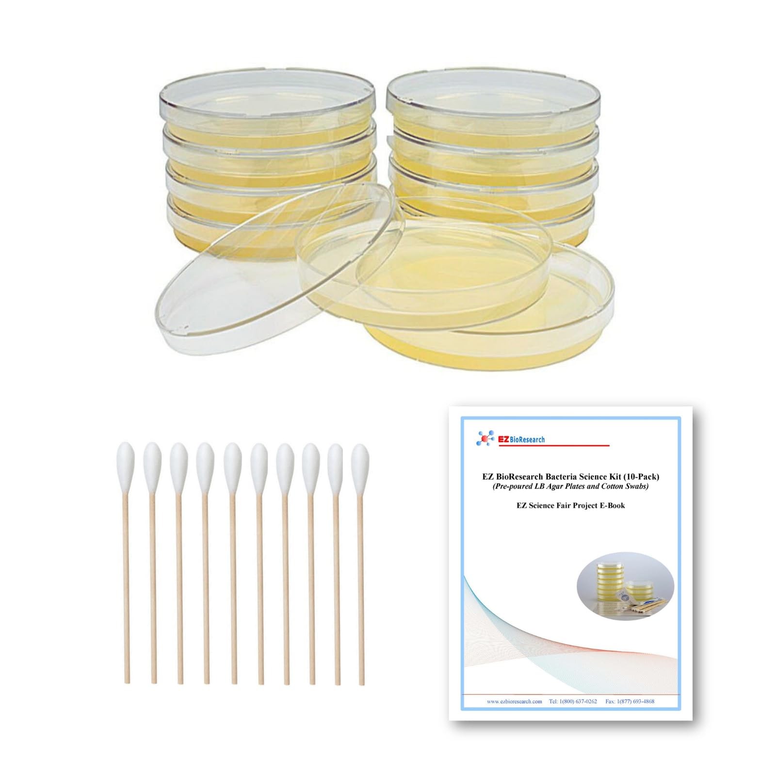 EZ BioResearch Bacteria Science Kit (IV): Top Fair Medium, Clear