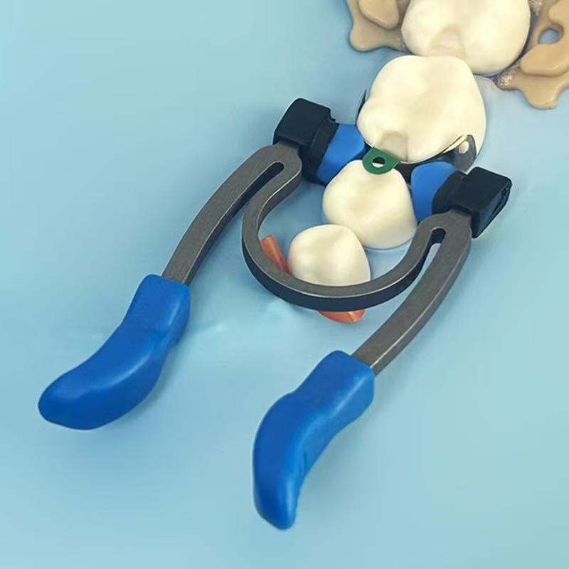 Dental Matrix Bands Ring Sectional Matrice Clamp Fit Garrison Palodent V3 System