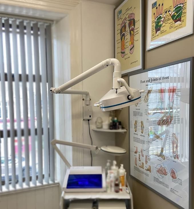 72W LED Cold Light Wall-Mounted Dental Surgical Shadowless Lamp for Tattoo Pet