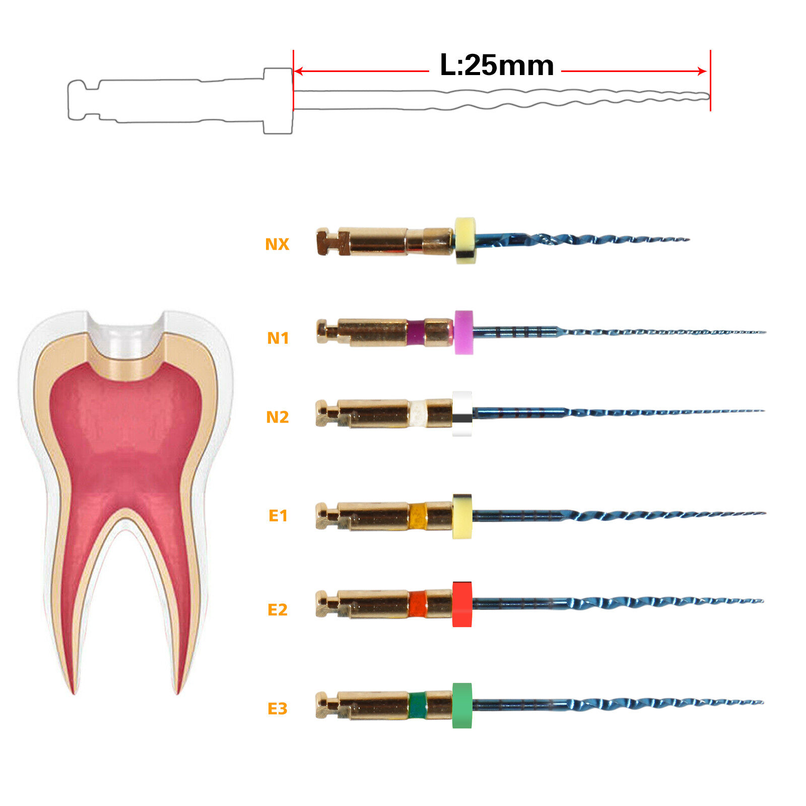 1-50 box Limas Dentales Endo Rotativas Azul Uso Motor Endodoncia 21mm/25mm/31mm