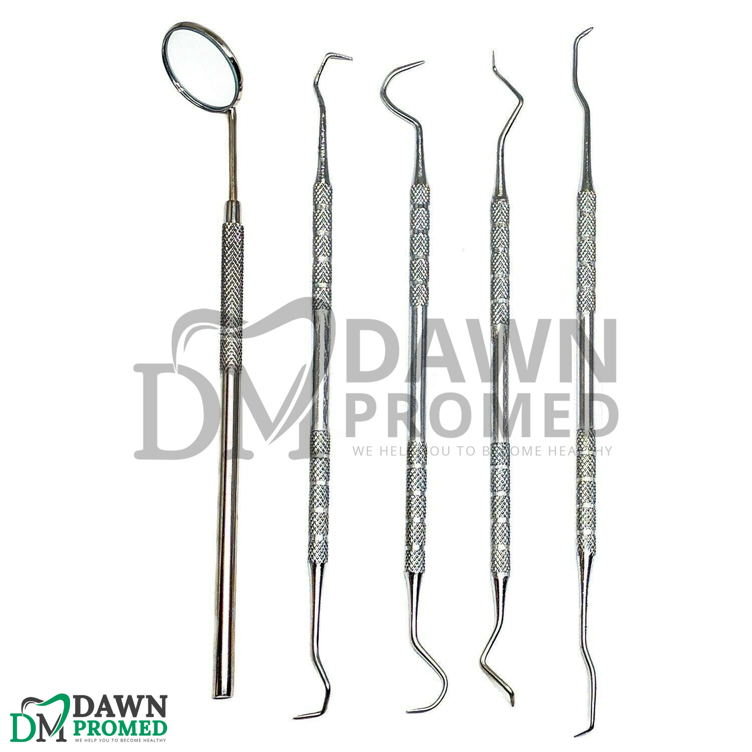 Dental Pick & Mirror Tools Set Sculpture Instrument Oral Hygiene Kit German NEW