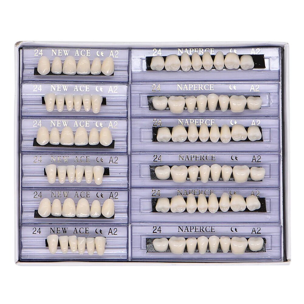 168X Acrylic Resin A1/A2/A3 Dental Denture Teeth Upper Lower Shade 22/23/24# HOT