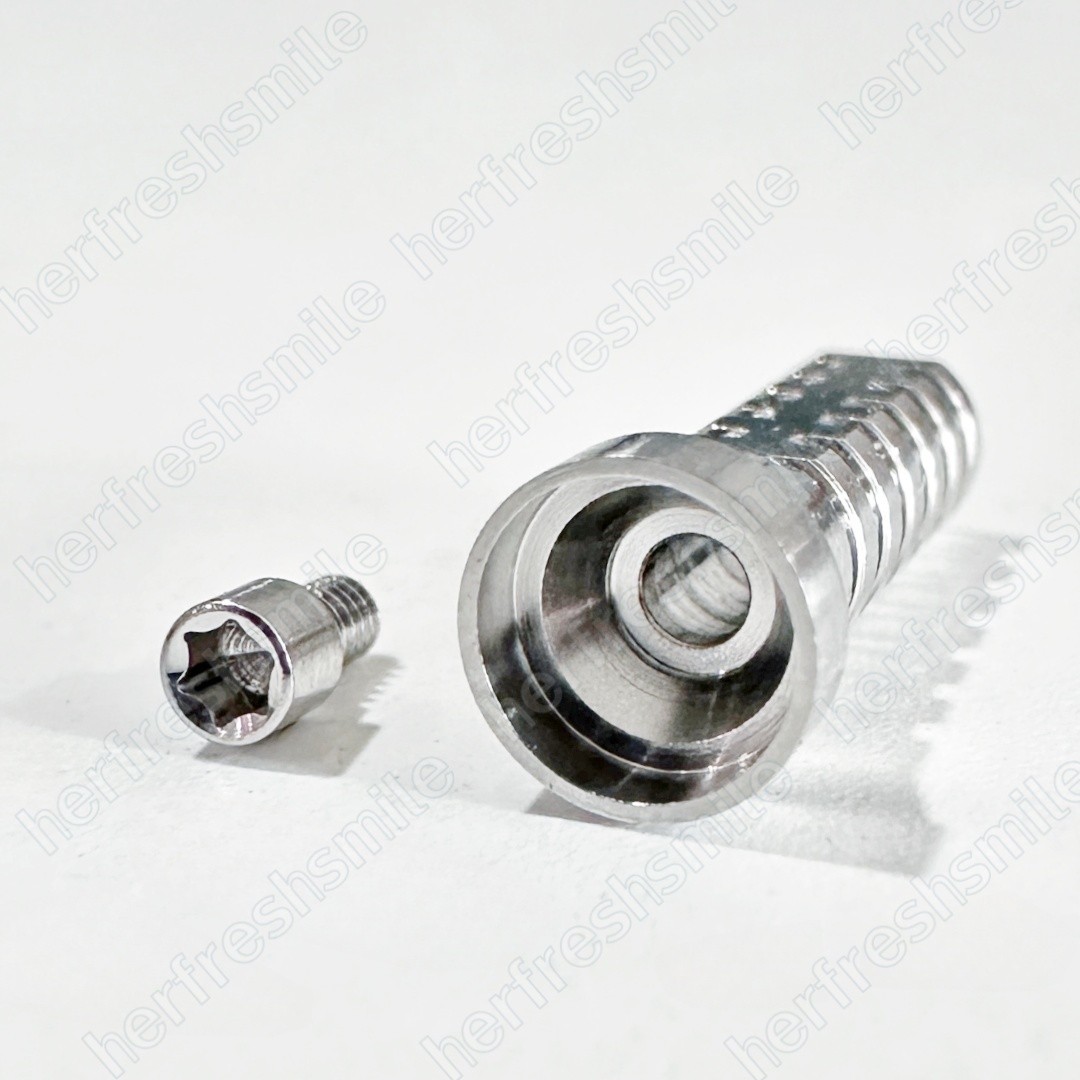 ∅4.8mm Dental Temporary Cylinder Coping Screw Abutments Fit NOB Nobel Biocare