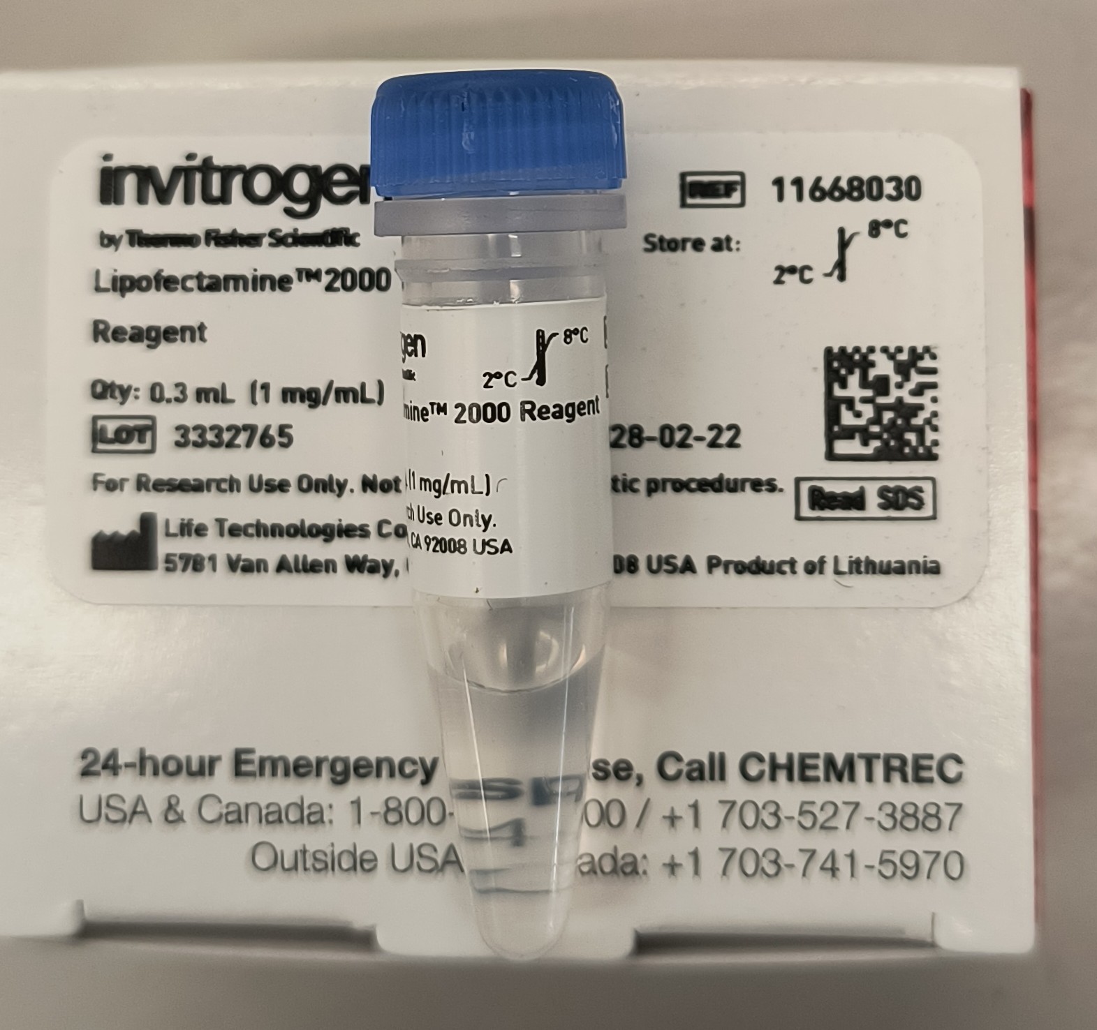 Invitrogen™ Lipofectamine™ 2000 Transfection Reagent, 0.3 ml, 11668030