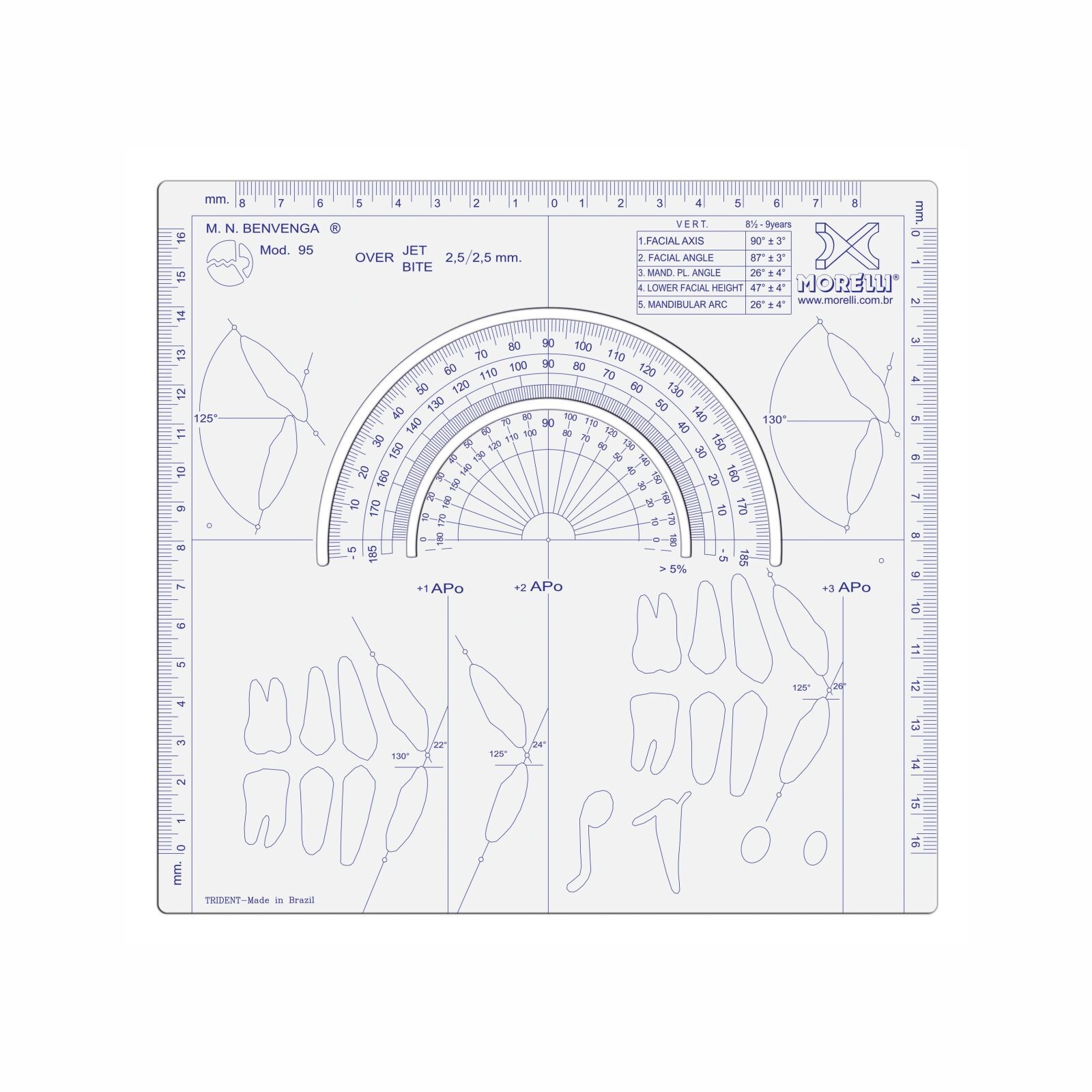DENTAL ORTHODONTIC Cephalometric Ruler / Item 7501020