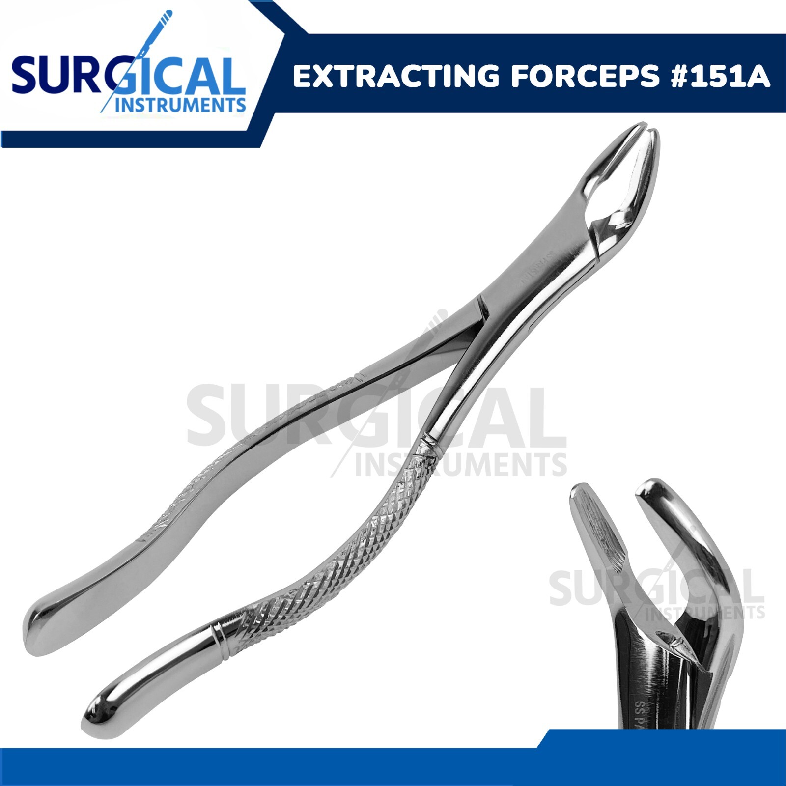 Extracting Forceps #151A Dental Surgical Instruments Stainless German Grade