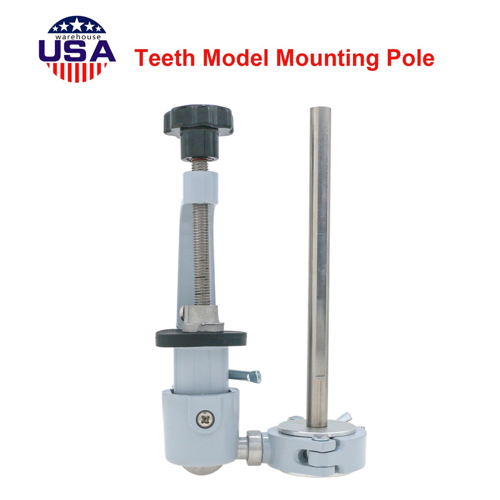 Dental 200 Type Typodont Model With Removable Teeth fit Kilgore NISSIN M8012
