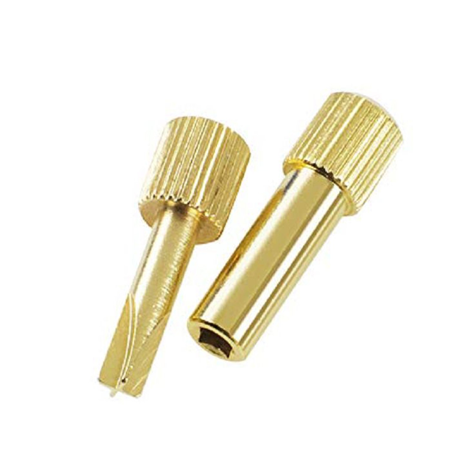 Dental Endodontic Screw Posts Kit SST/24K Gold Plated/Pure Titanium Nordin Type