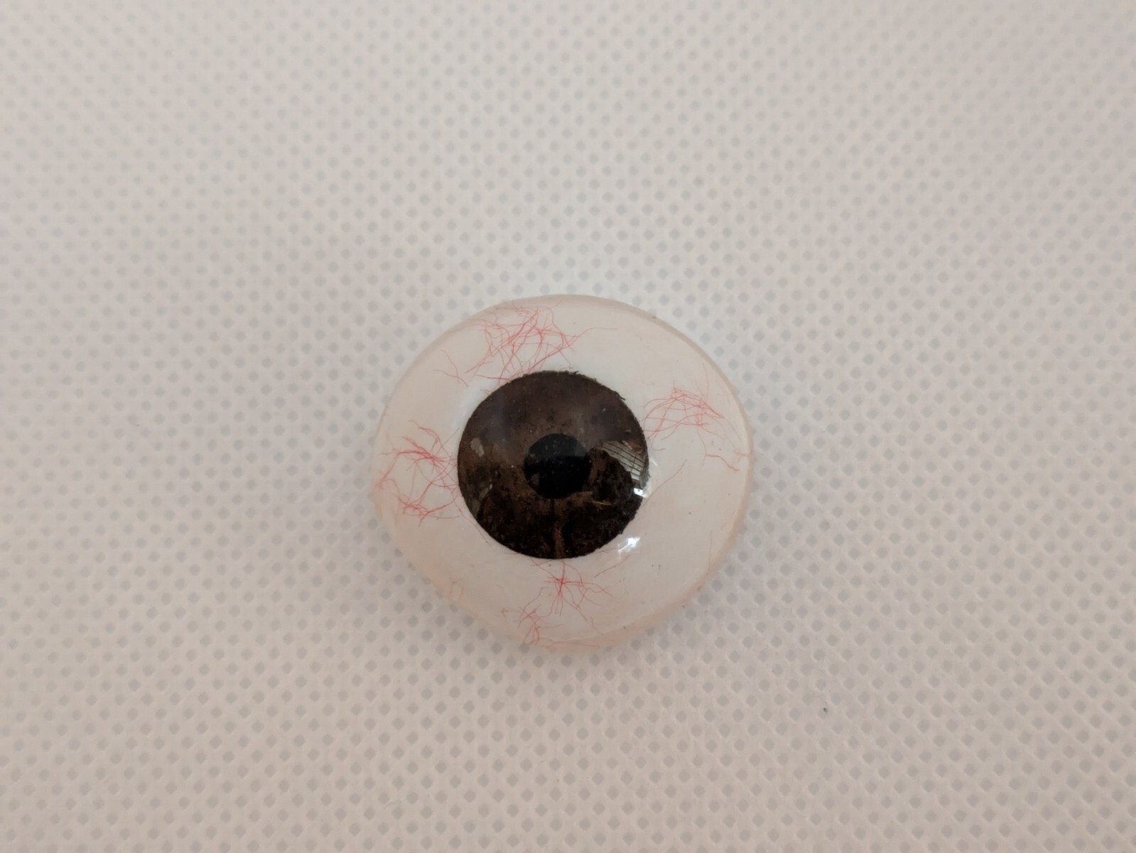 Human Eye Ocular Prostheses Prosthetic Realistic With Sterilized Case USA SELLER