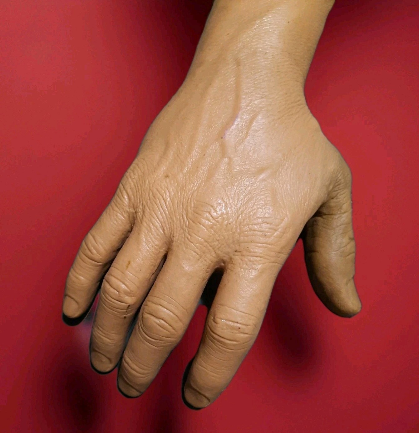 Realistic Medical Learning Horror Prop Hand 1985 MEDICAL PLASTICS LABORATORY