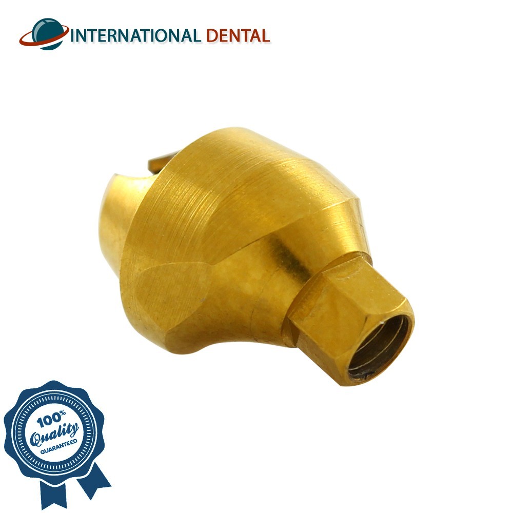 10 Angulated Multi Unit 1.6mm Prosthetic 17° Dental Fixture Int Hex 2.0mm Slim