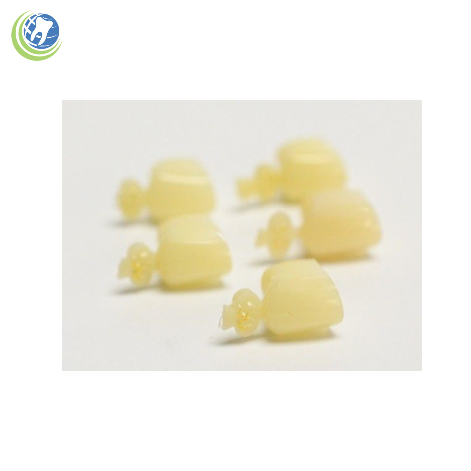 DENTAL POLYCARBONATE TEMPORARY CROWNS #50 SECOND (2ND) BICUSPIDS LARGE 5/PACK